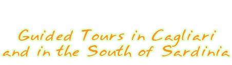 guided tours